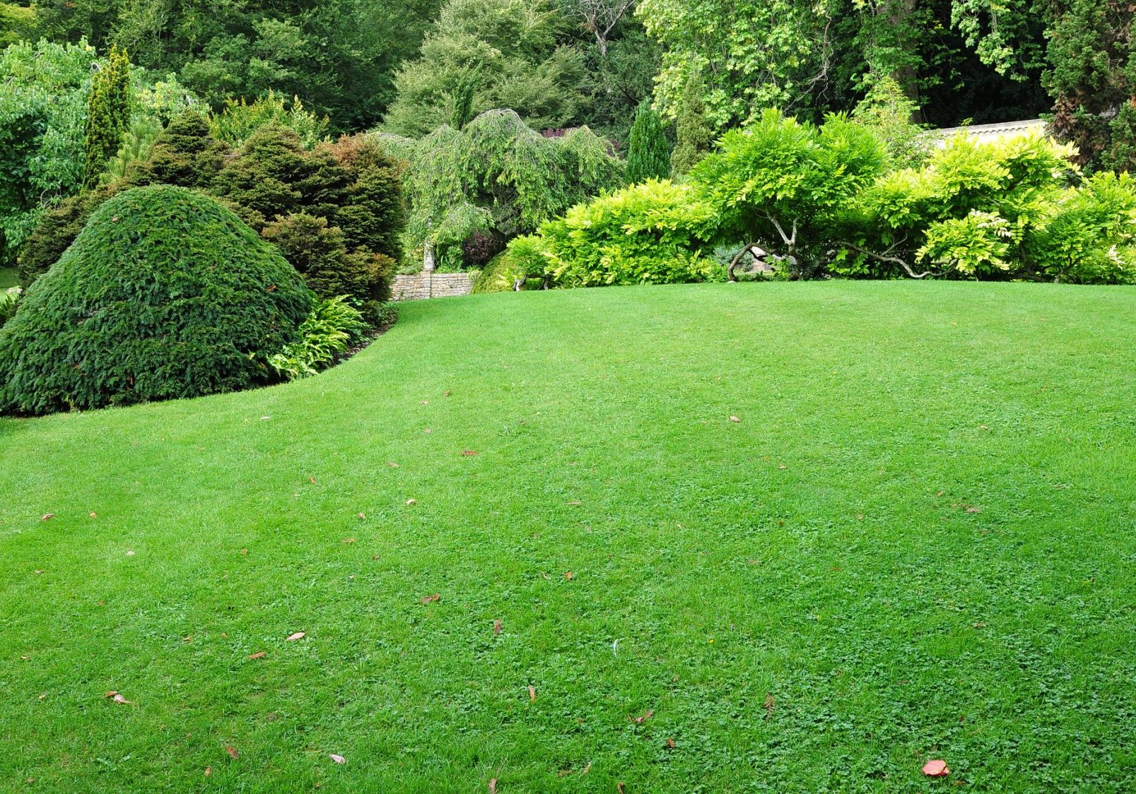Landscaping services