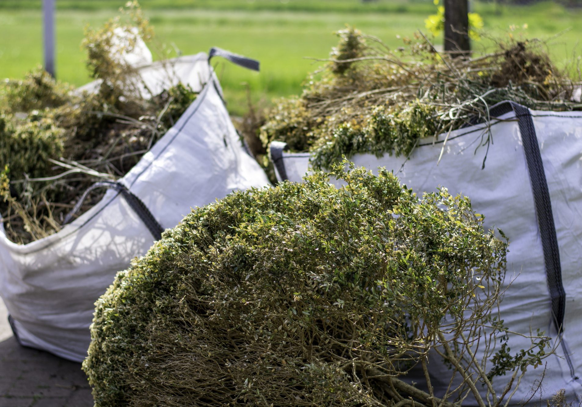 waste removal