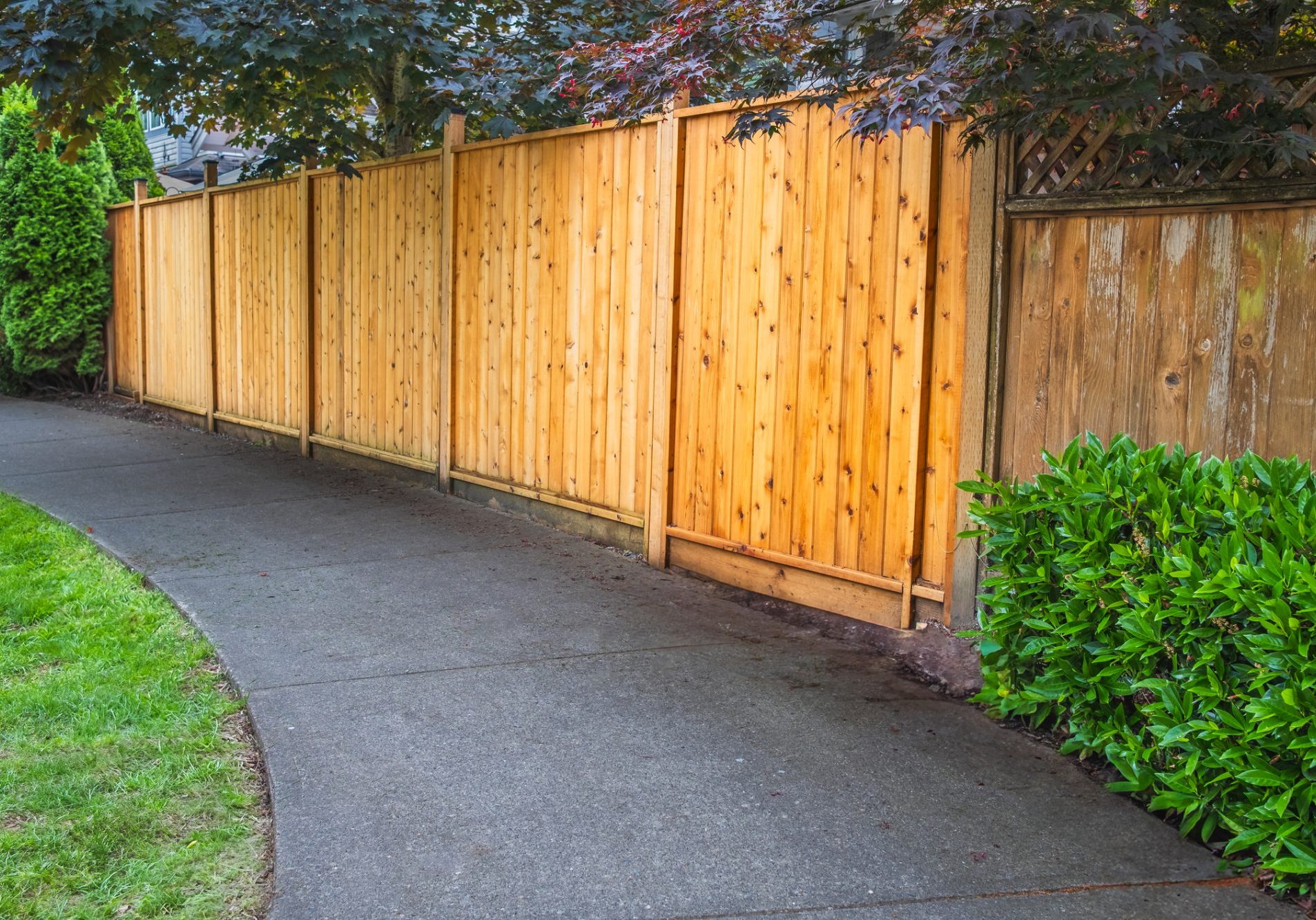 fencing