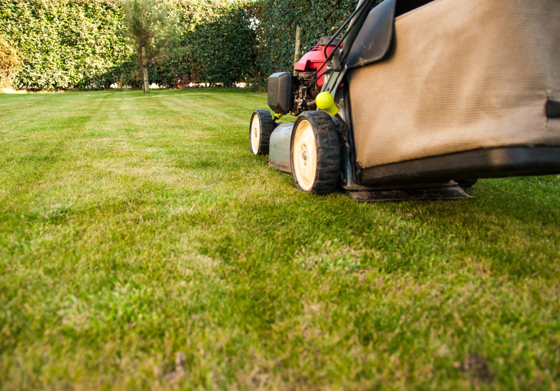 Landscaping services