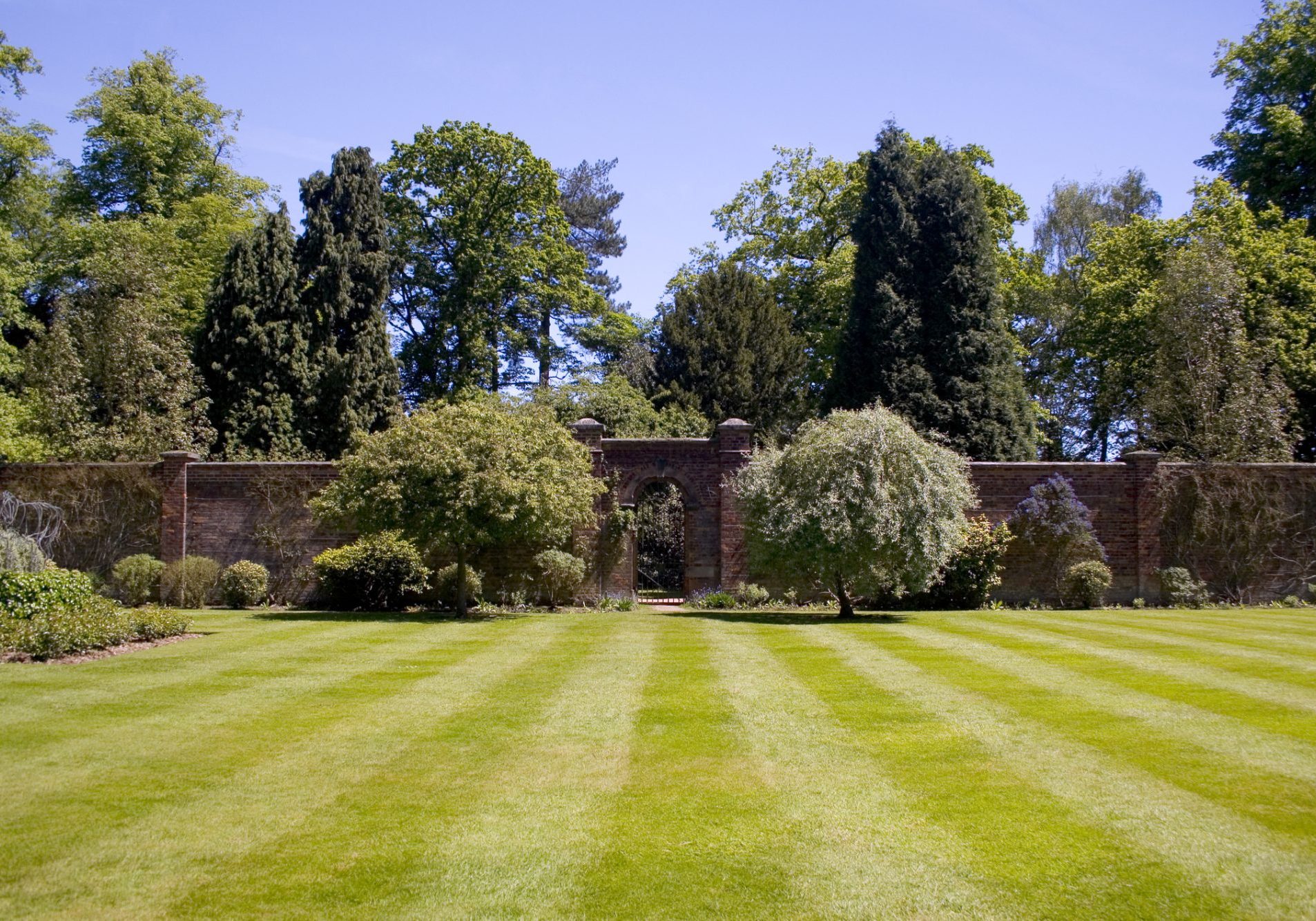 Landscaping services